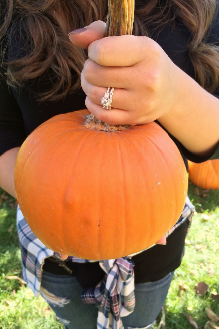 A Trip to the Pumpkin Patch